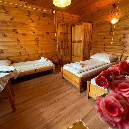 Πανσιόν Pieninska Aleksandrowka 3*